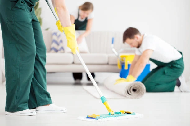 Impact Of Professional Cleaning